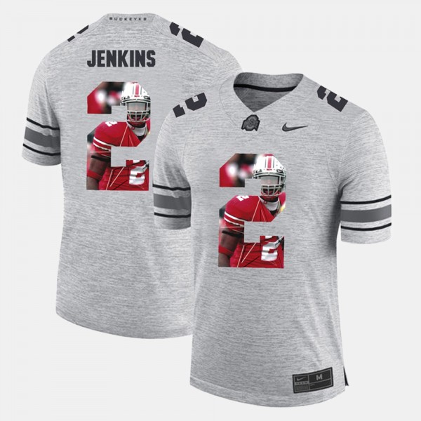 Ohio State Buckeyes Malcolm Jenkins Men's #2 Gray Pictorial Gridiron Fashion College Football Jersey 2404NTUX5